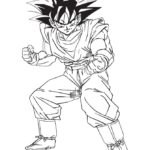 Raskrasil.com-Goku-100