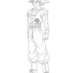 Raskrasil.com-Goku-13