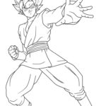 Raskrasil.com-Goku-14