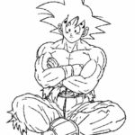 Raskrasil.com-Goku-17
