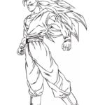 Raskrasil.com-Goku-2