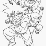 Raskrasil.com-Goku-20