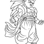 Raskrasil.com-Goku-21