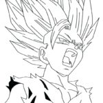 Raskrasil.com-Goku-22