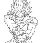 Raskrasil.com-Goku-26