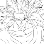 Raskrasil.com-Goku-27