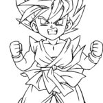 Raskrasil.com-Goku-30
