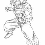 Raskrasil.com-Goku-31