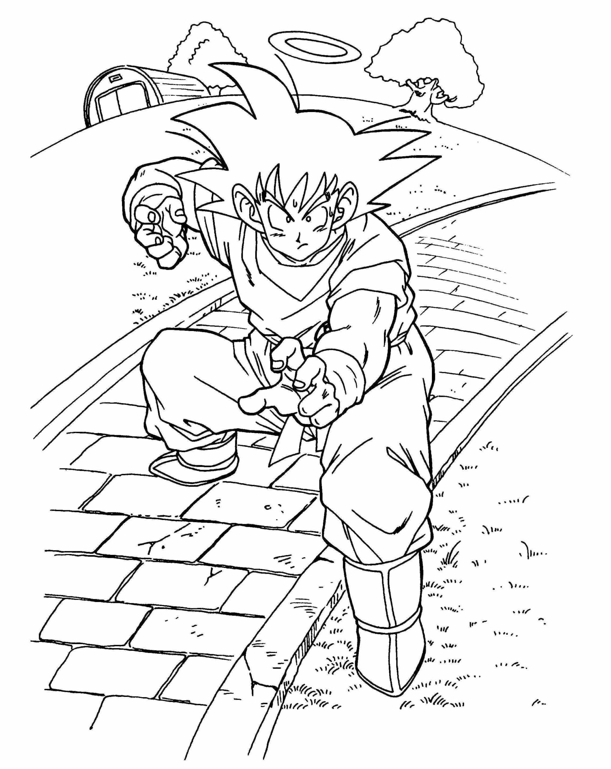 Raskrasil.com-Goku-33