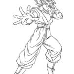 Raskrasil.com-Goku-4