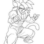 Raskrasil.com-Goku-42