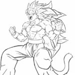 Raskrasil.com-Goku-46