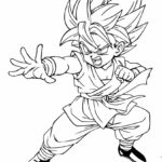 Raskrasil.com-Goku-64