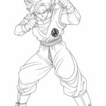 Raskrasil.com-Goku-73