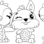 Raskrasil.com-Hatchimals-22