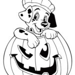 Raskrasil.com-Jack o Lantern-109
