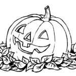 Raskrasil.com-Jack o Lantern-12
