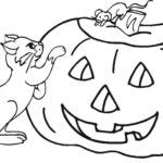 Raskrasil.com-Jack o Lantern-20