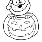 Raskrasil.com-Jack o Lantern-64