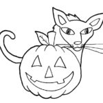 Raskrasil.com-Jack o Lantern-72