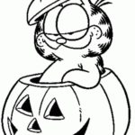 Raskrasil.com-Jack o Lantern-73