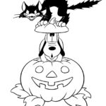 Raskrasil.com-Jack o Lantern-87