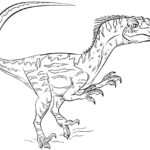 Raskrasil.com-Jurassic-World -52