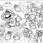 Raskrasil.com-Mario-14