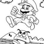 Raskrasil.com-Mario-22