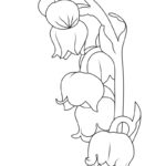 Raskrasil.com-New-Coloring-Pages-Lily-of-the-Valley-2