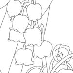 Raskrasil.com-New-Coloring-Pages-Lily-of-the-Valley-3
