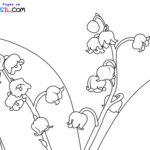Raskrasil.com-New-Coloring-Pages-Lily-of-the-Valley-5