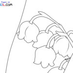 Raskrasil.com-New-Coloring-Pages-Lily-of-the-Valley-6