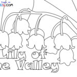 Raskrasil.com-New-Coloring-Pages-Lily-of-the-Valley-8