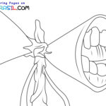 Raskrasil.com-New-Coloring-Pages-Siren-Head-9