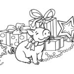 Raskrasil.com-New year gift-53
