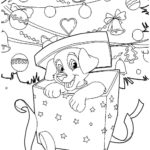 Raskrasil.com-New year gift-66