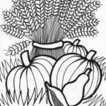 Raskrasil.com-Ottobre-24