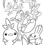 Raskrasil.com-Pokemon-98