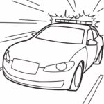 Raskrasil.com-Police -25