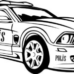 Raskrasil.com-Police -36