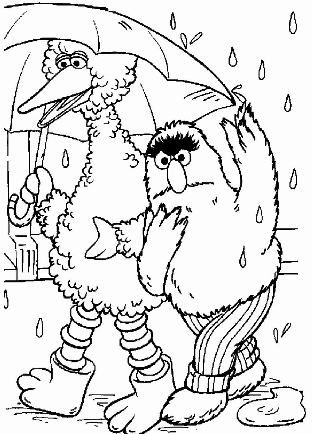 Raskrasil.com-Sesame Street-22