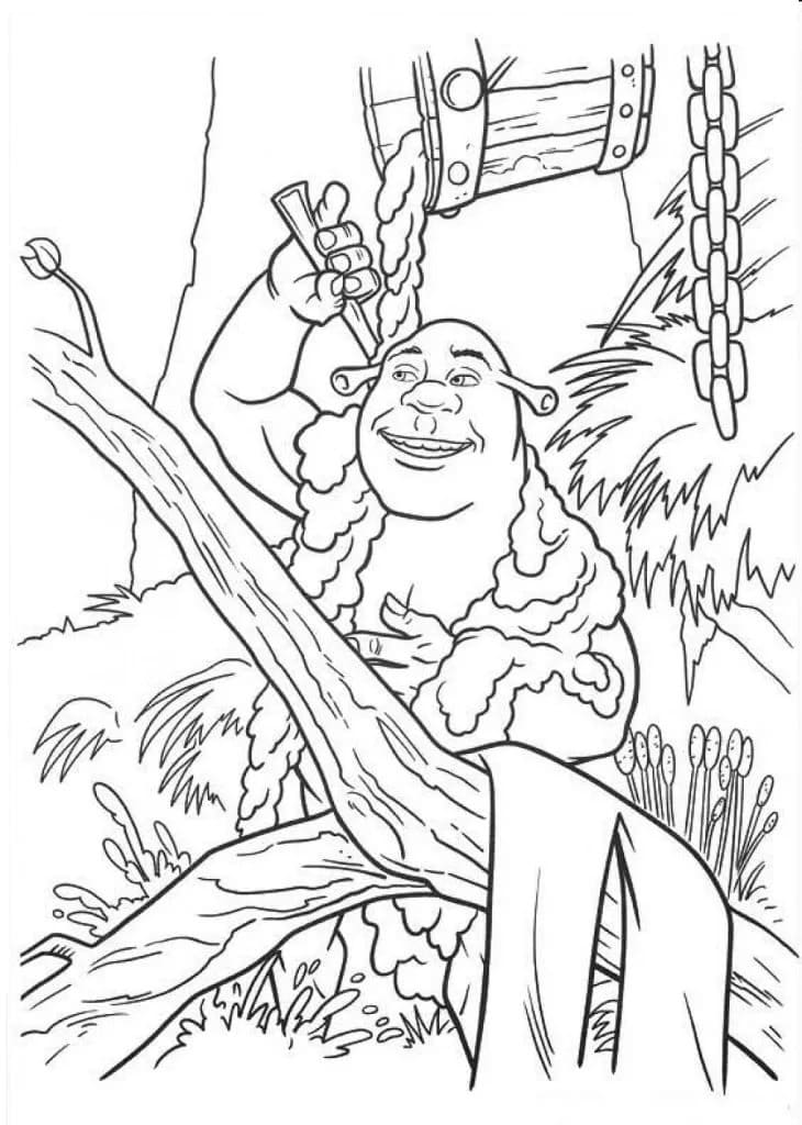 Raskrasil.com-Shrek-15