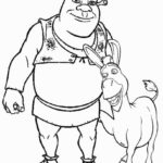 Raskrasil.com-Shrek-16