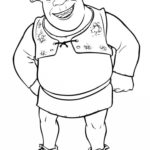 Raskrasil.com-Shrek-27
