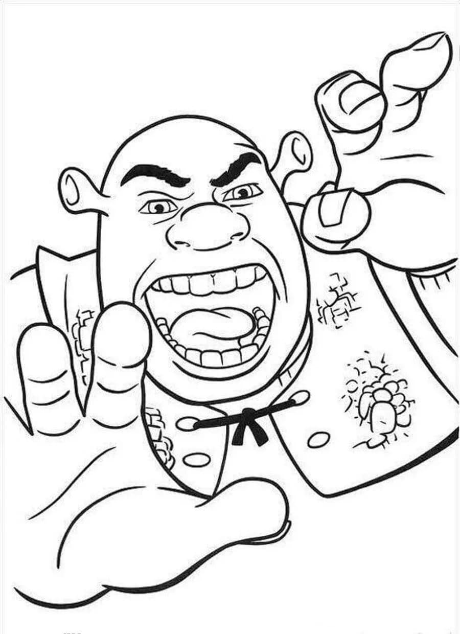 Raskrasil.com-Shrek-45