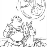 Raskrasil.com-Shrek-51