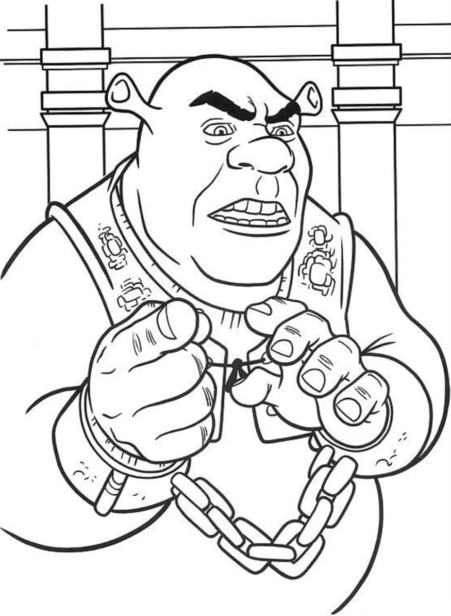 Raskrasil.com-Shrek-58