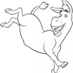 Raskrasil.com-Shrek-63