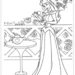 Raskrasil.com-Sleeping beauty-22